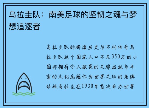 乌拉圭队：南美足球的坚韧之魂与梦想追逐者